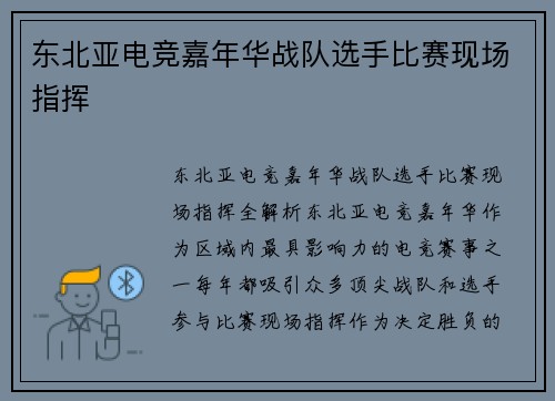 东北亚电竞嘉年华战队选手比赛现场指挥