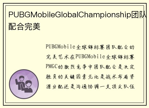 PUBGMobileGlobalChampionship团队配合完美